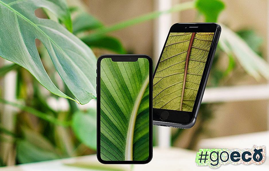 Wir verlosen 2 Apple iPhones von #GOECO