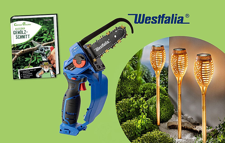 Für Selbermacher und -macherinnen: Westfalia-Akku-Säge & mehr Garten-Gadgets gewinnen