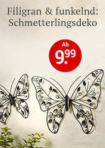 Bild Deko-Trend "Schmetterling"
